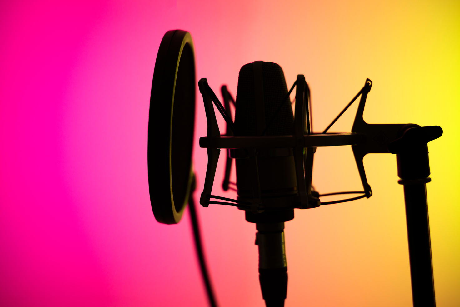 Voiceover Studio Microphone