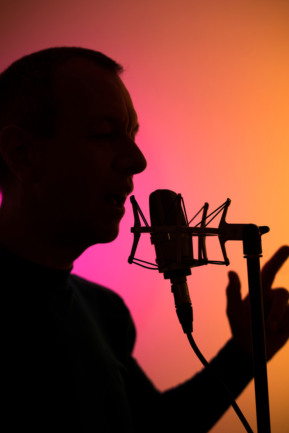 Voiceover Artist Voice Actor Studio